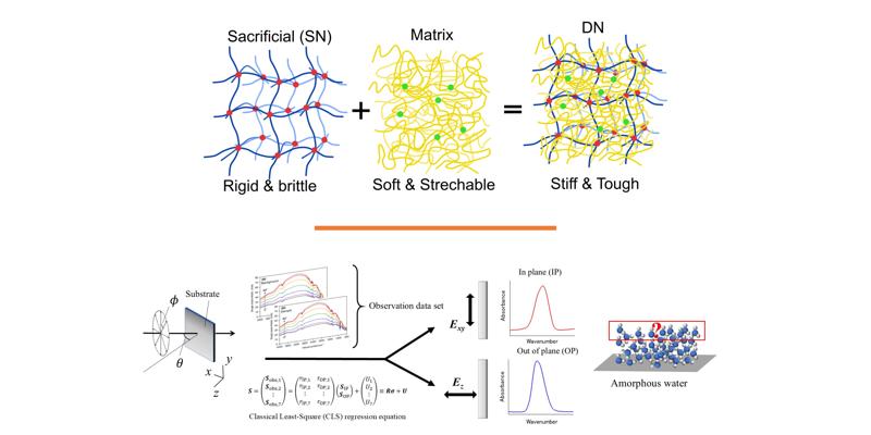 graphical abstracts