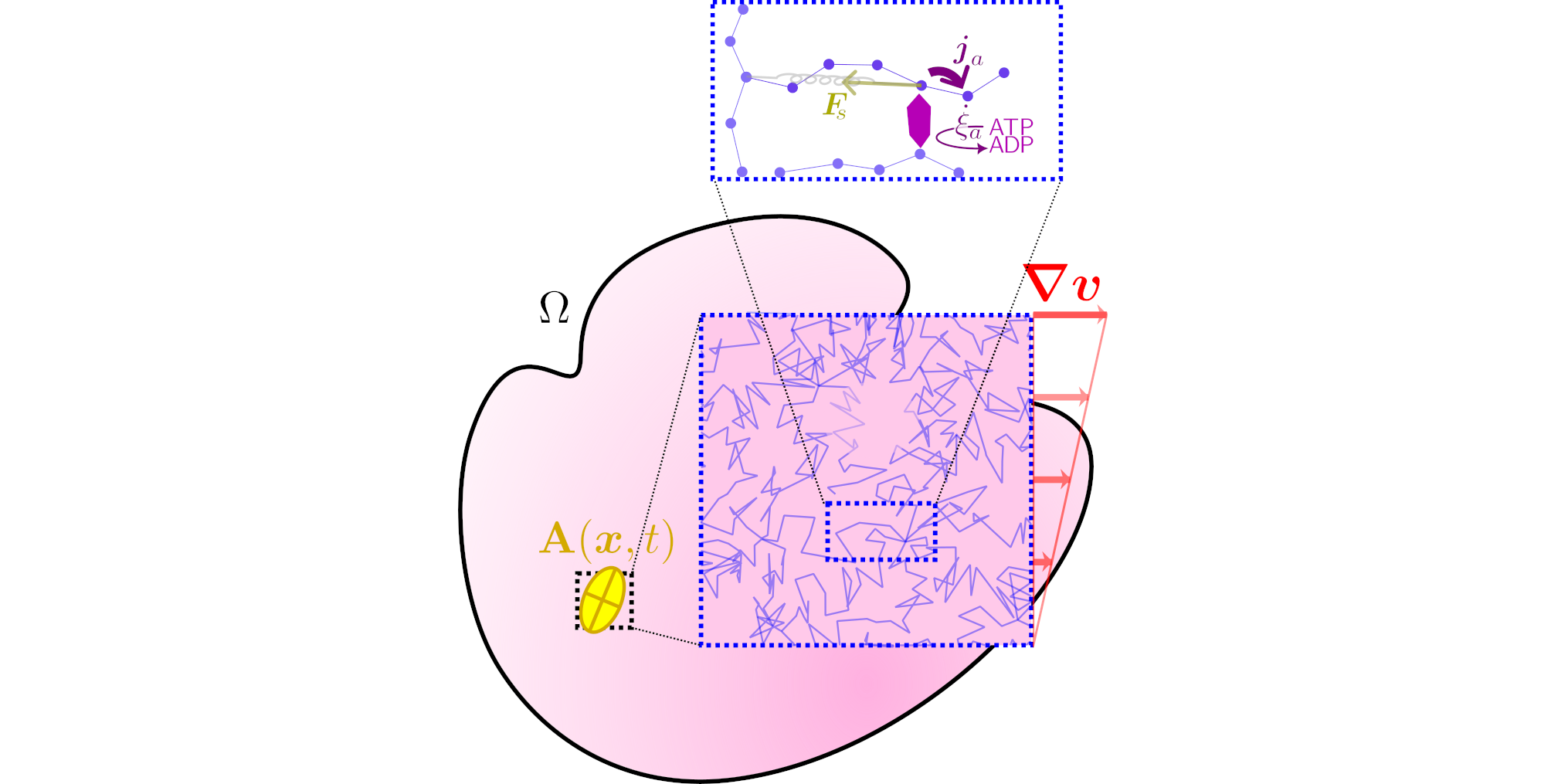 Mechanics of biopolymer networks from the thermodynamics of molecular motors