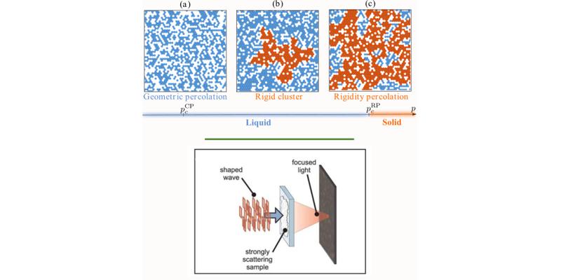 graphical abstracts