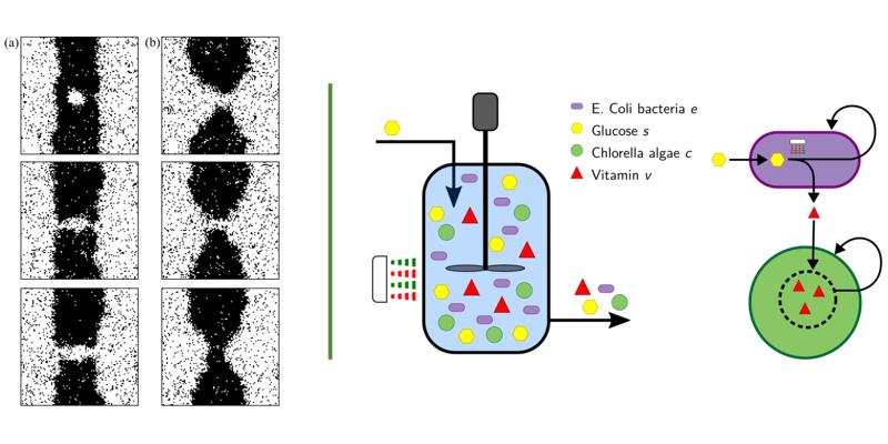 graphical abstracts