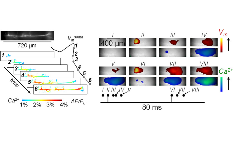 Schematics of Marco's talk