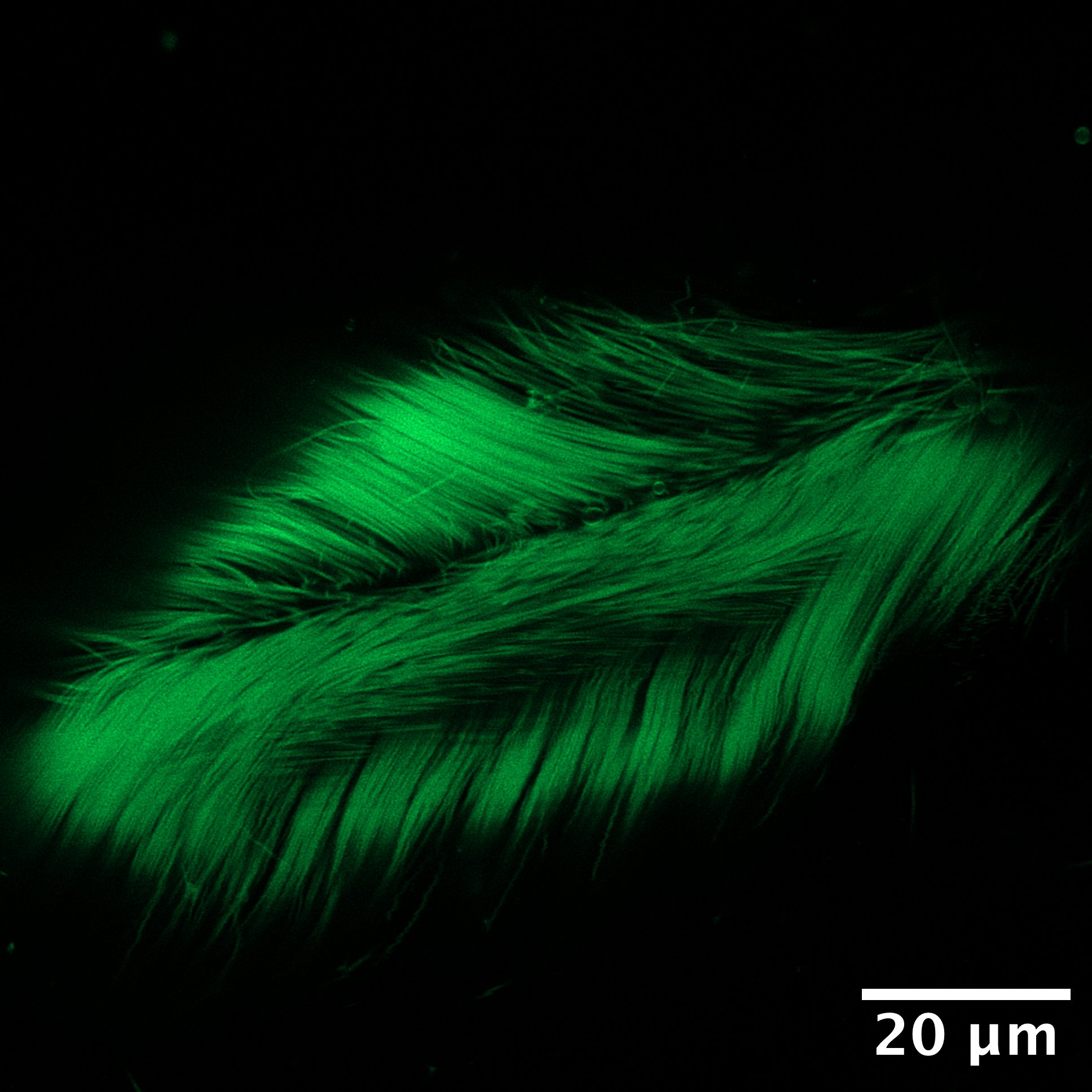 Schematics of Manon's talk