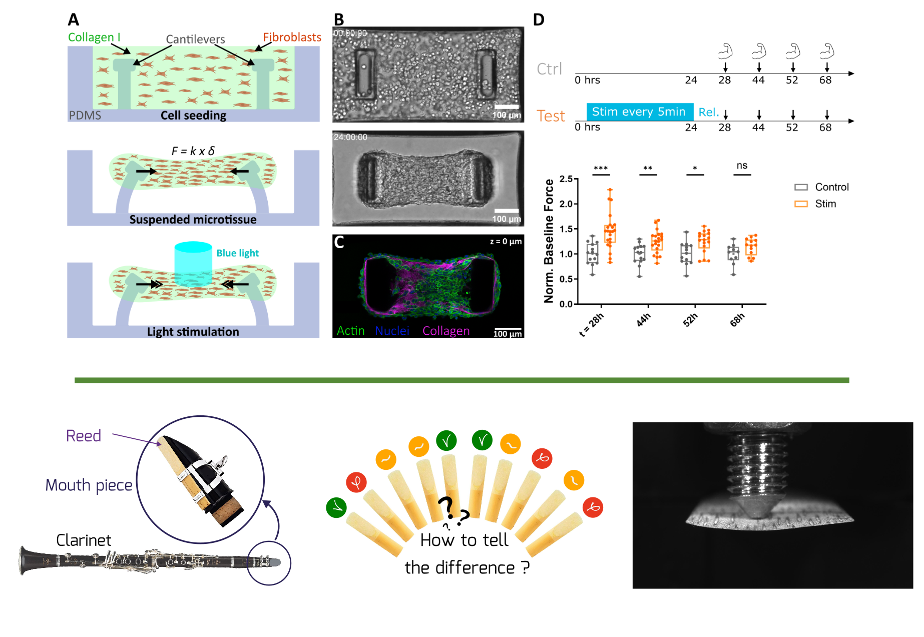 graphical abstracts