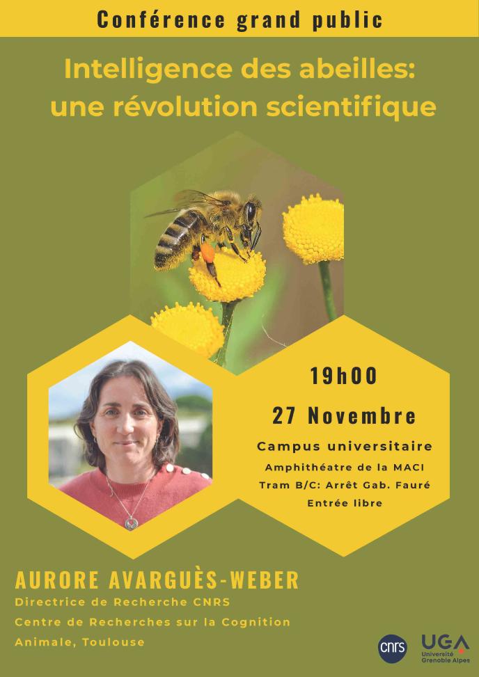 Intelligence des abeilles : une révolution scientifique