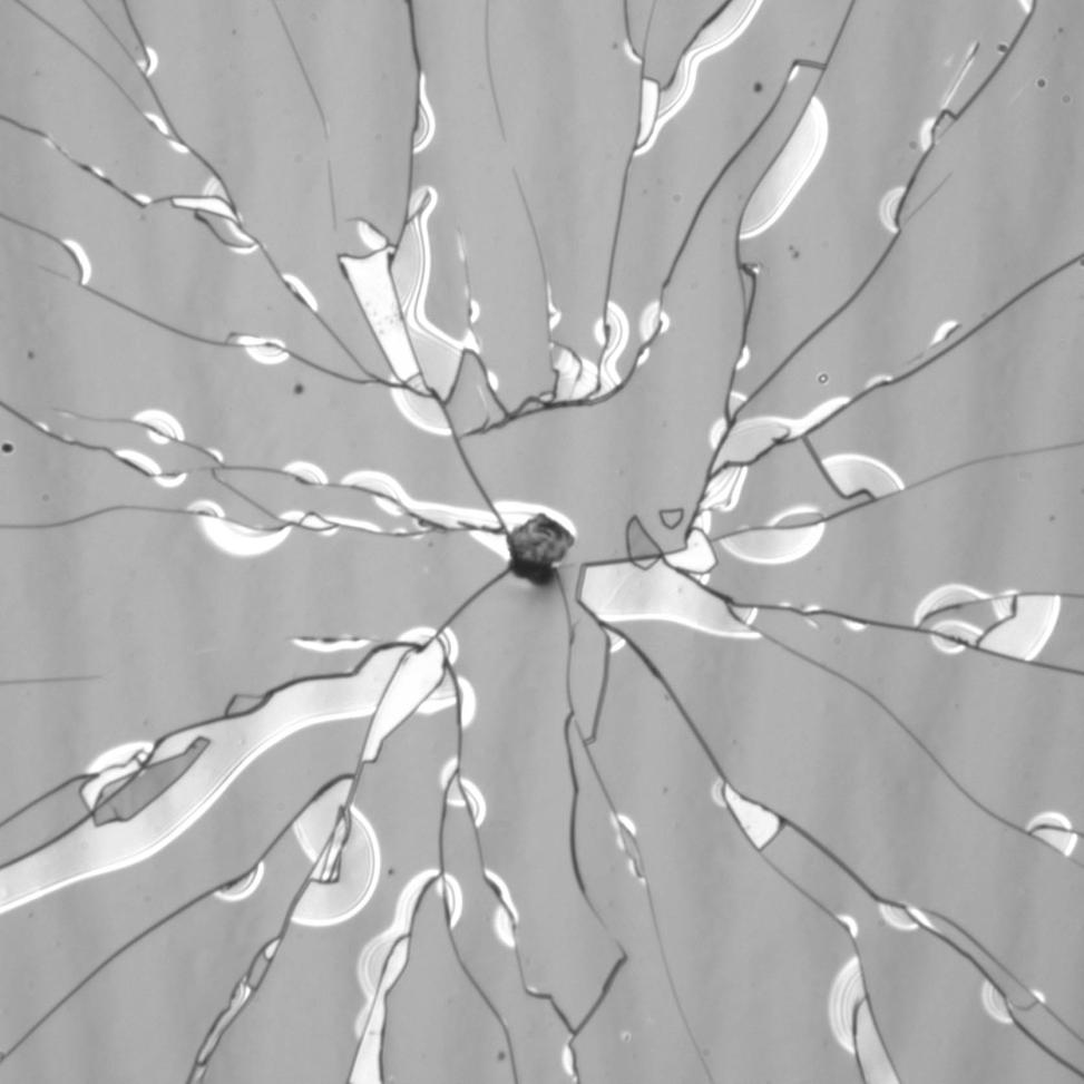 Cracking of a thin PMMA film exposed to ethanol