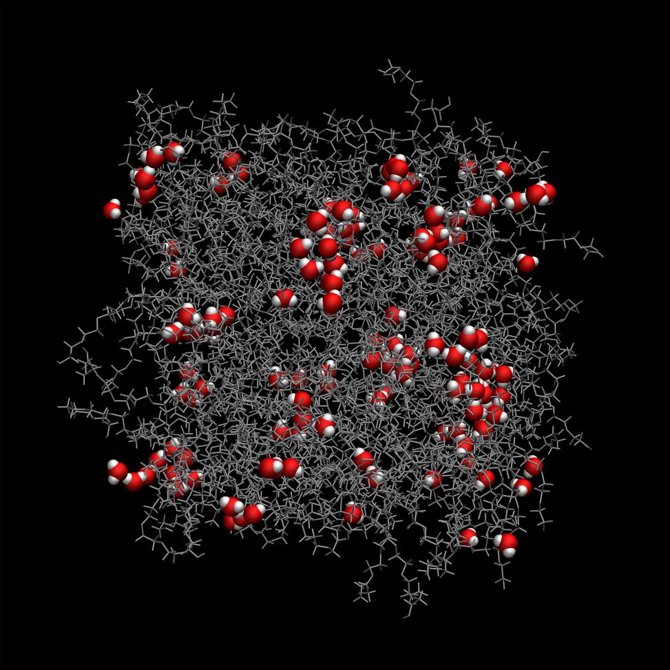 Transport of water molecules in a microporous polymer