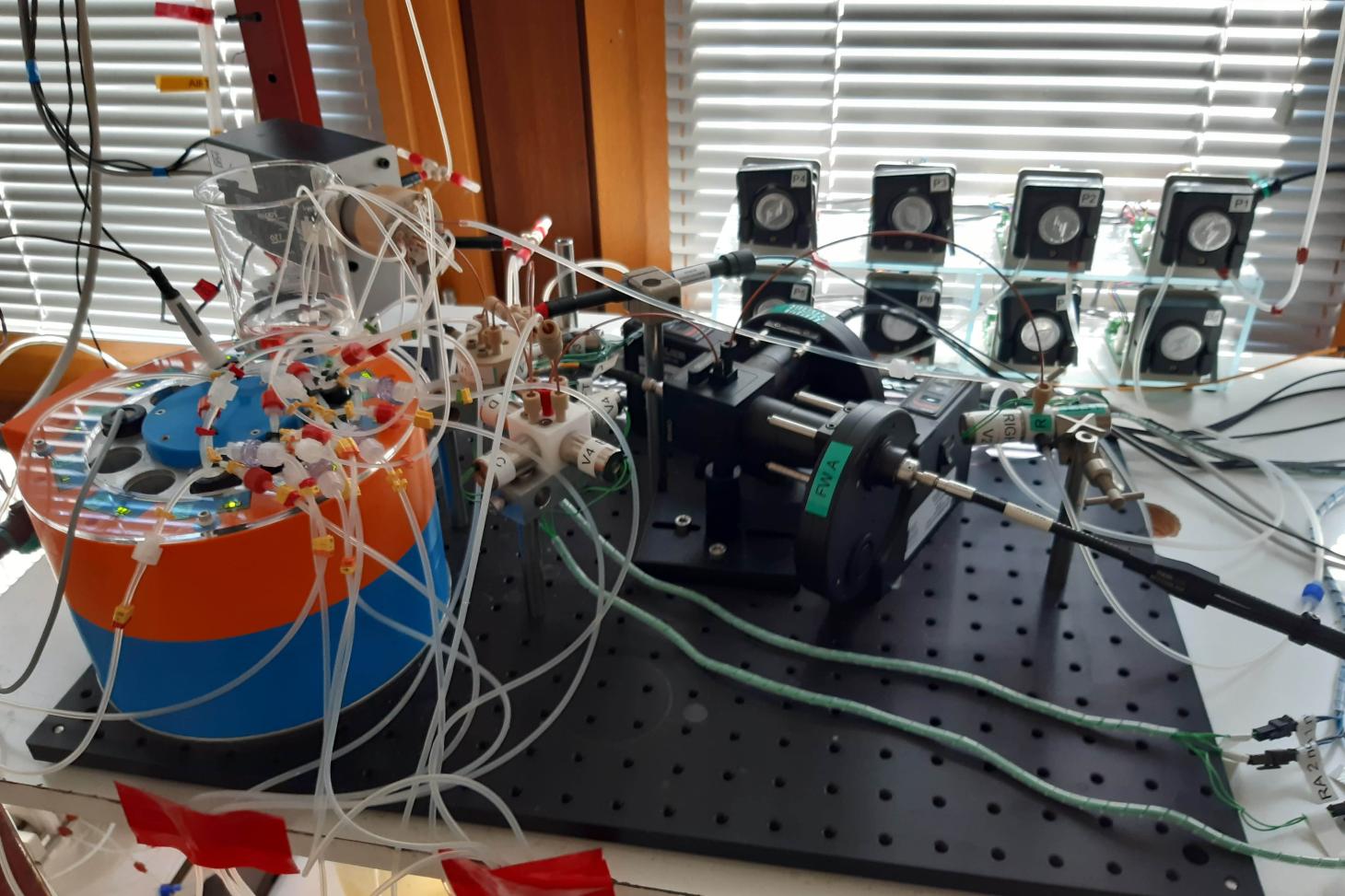 Mini-Bioreactor Platform