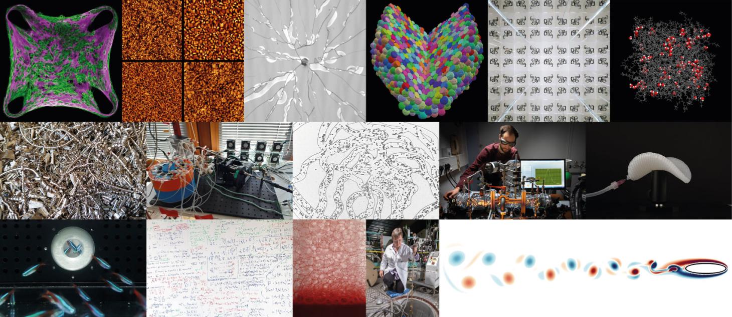 Expo photo du LIPhy - Vignette