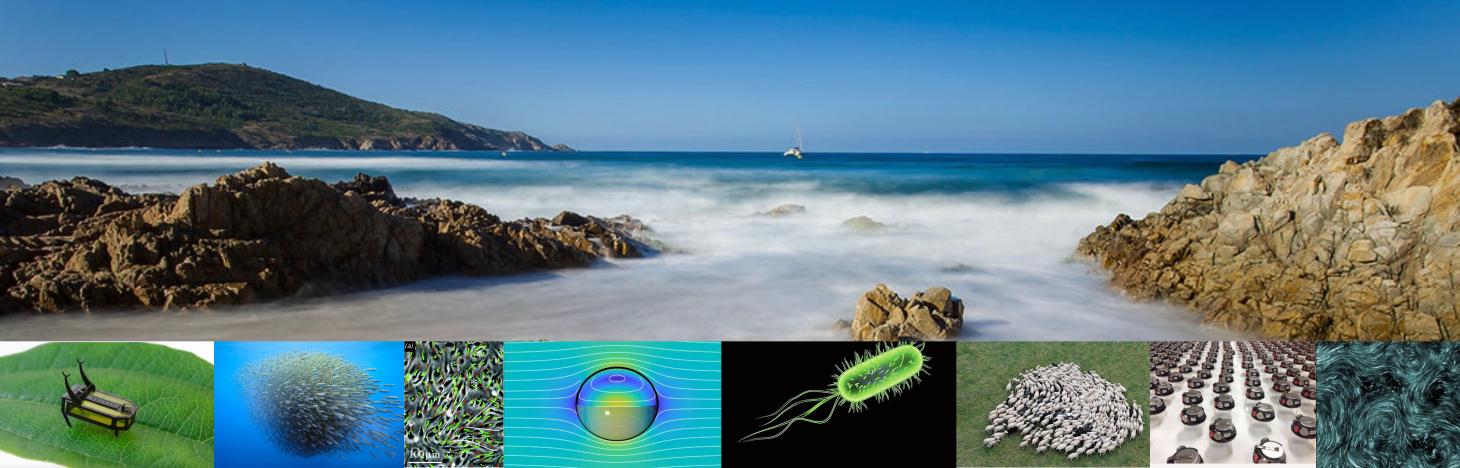 activeadaptiveautonomous