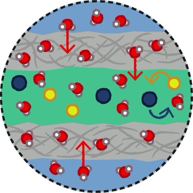 Membrane nanoporeuse