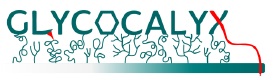 Glycocalix