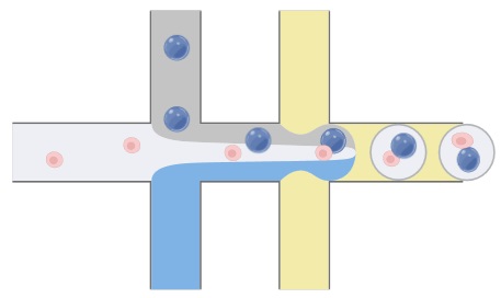 bacterial_microdroplet_generation