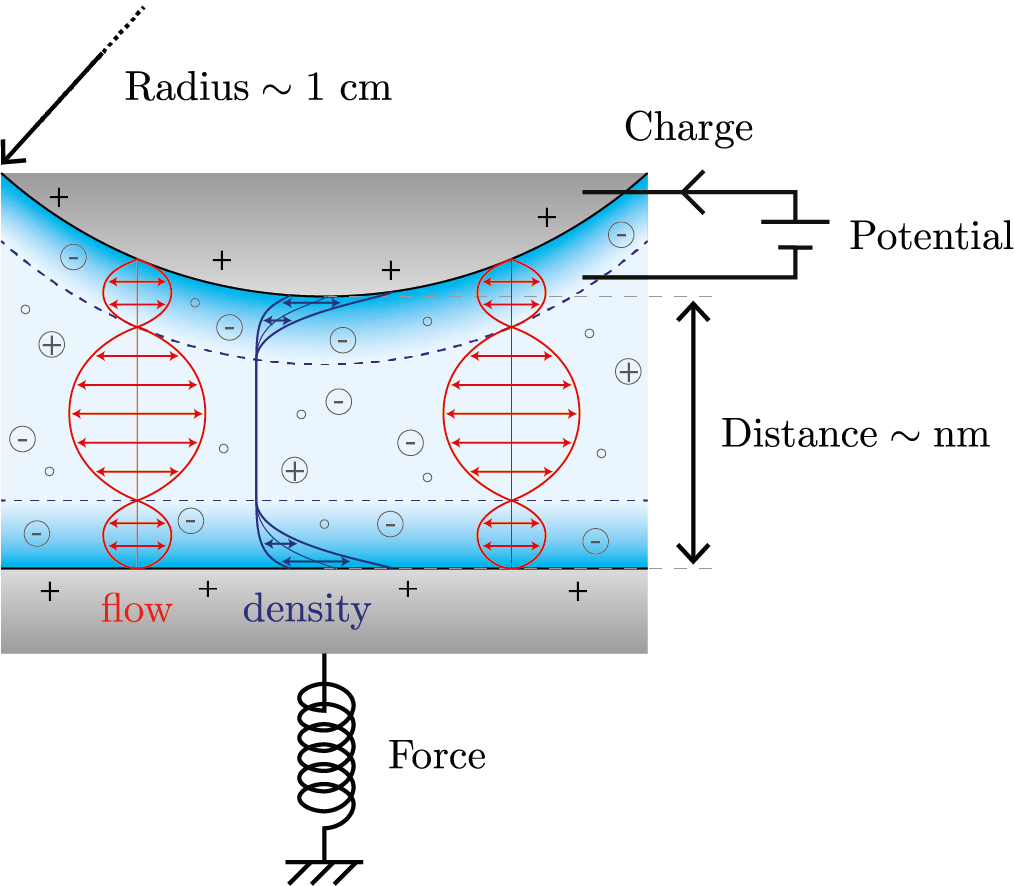 schema