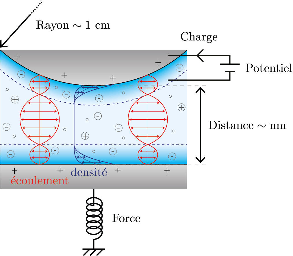 schema