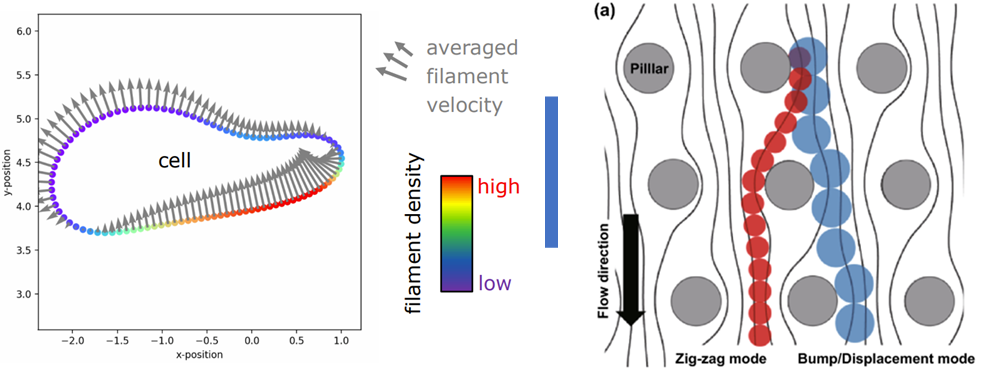 graphical abstracts