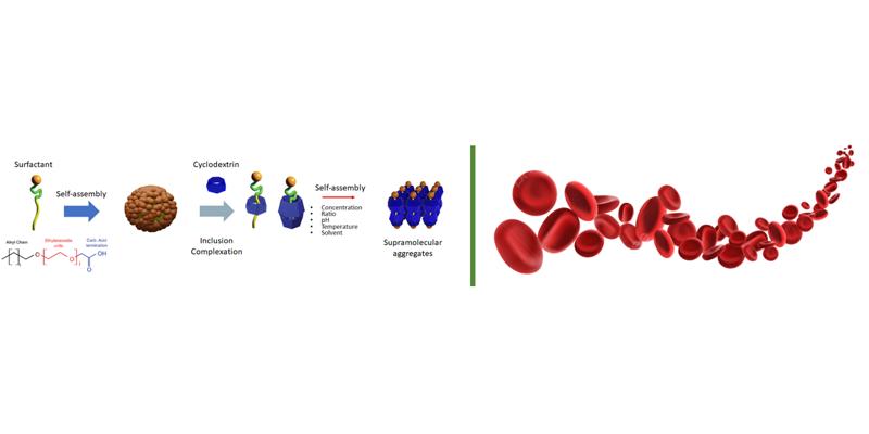 graphical abstracts